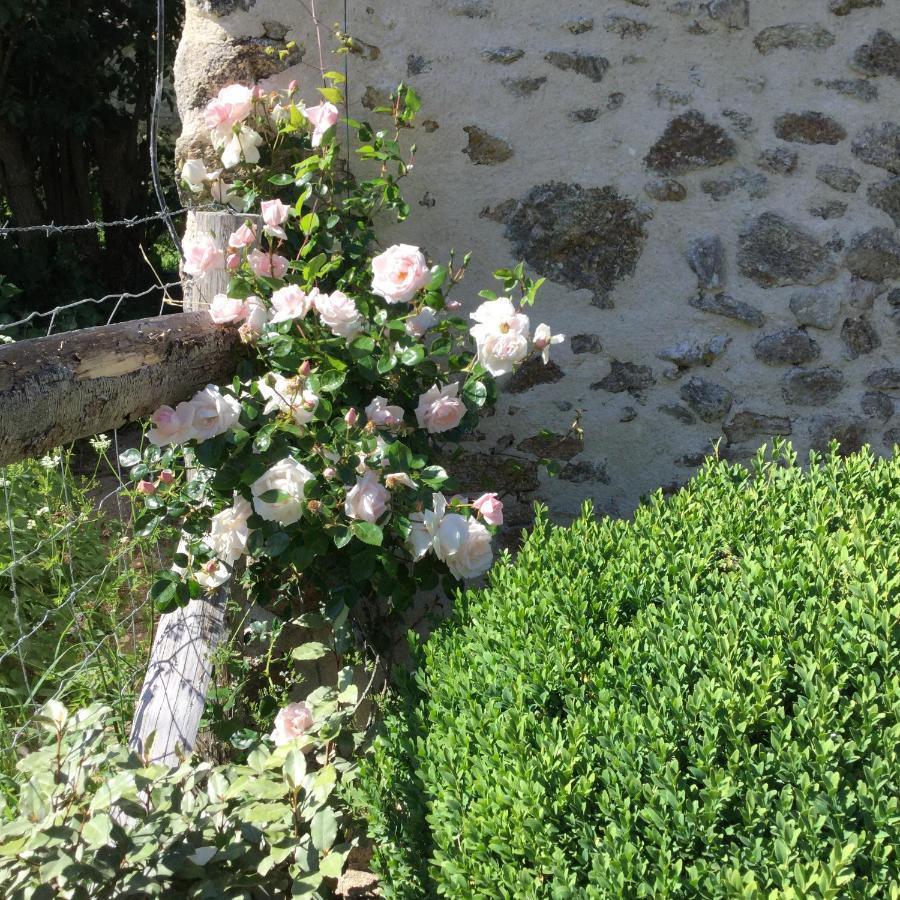 Les Epis Du Vent Bed and Breakfast Adilly Εξωτερικό φωτογραφία