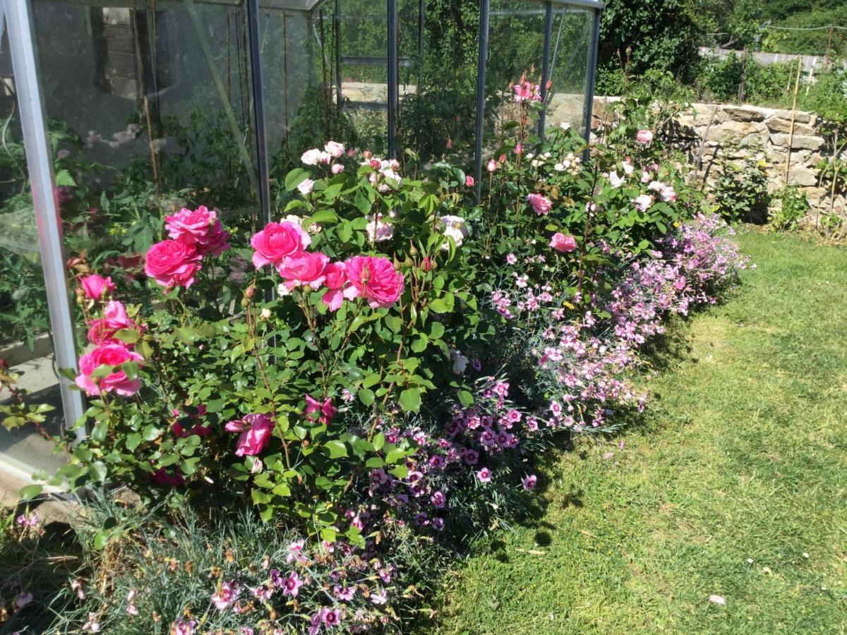 Les Epis Du Vent Bed and Breakfast Adilly Εξωτερικό φωτογραφία